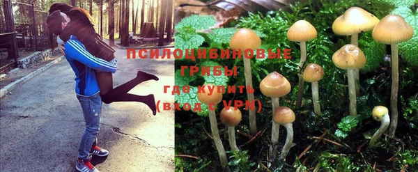 a pvp Куйбышев