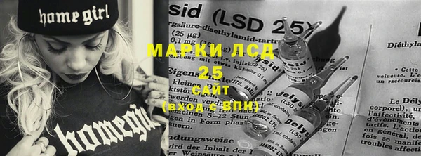 мдпв Кулебаки
